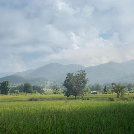 Camp View Mountain - Sell Experience By Paddy Fields Haven - Natures Nest Pai Exterior foto