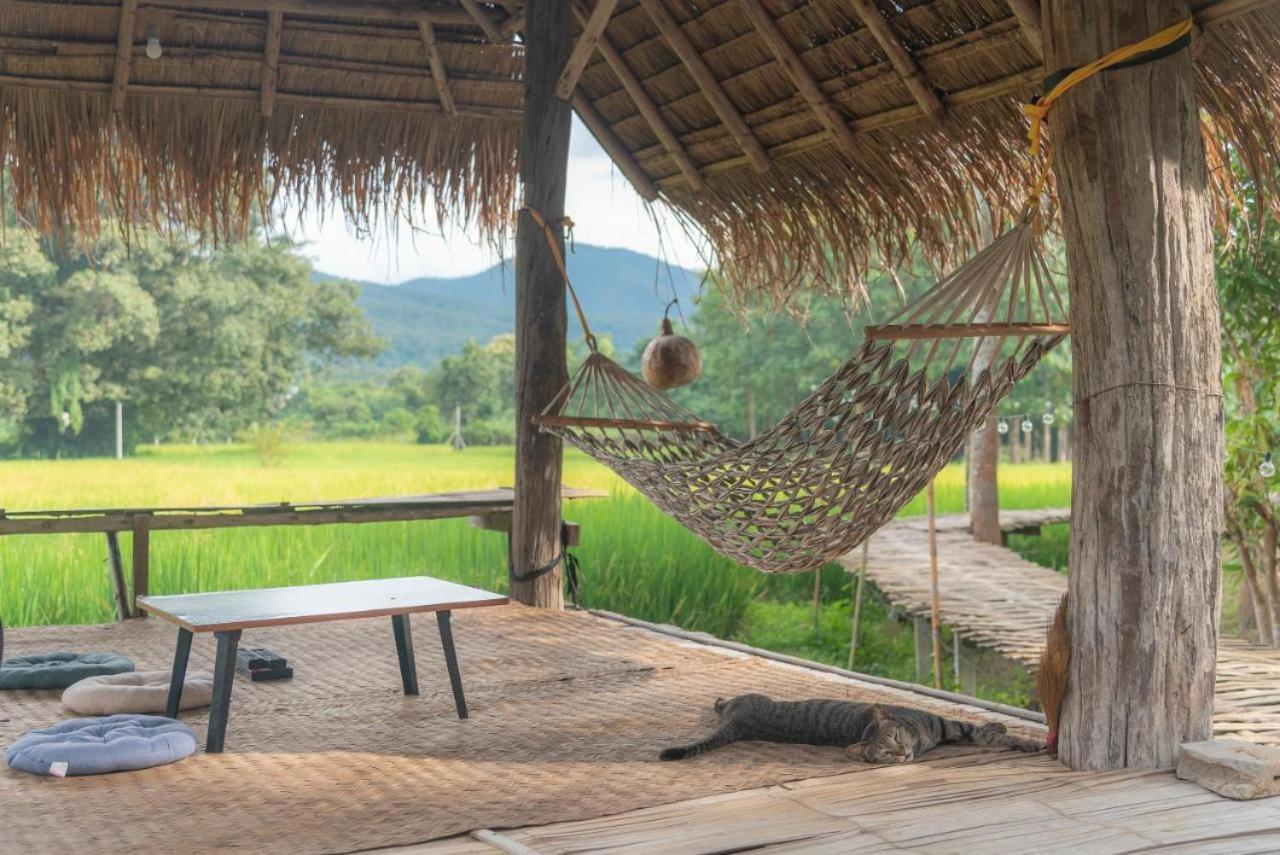 Camp View Mountain - Sell Experience By Paddy Fields Haven - Natures Nest Pai Exterior foto